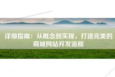 详细指南：从概念到实现，打造完美的商城网站开发流程