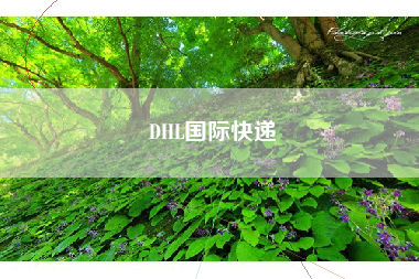 DHL国际快递