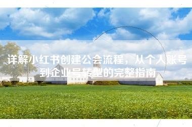 详解小红书创建公会流程，从个人账号到企业号转型的完整指南