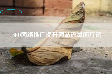 SEO网络推广提升网站流量的方法