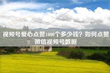 视频号爱心点赞1000个多少钱？如何点赞微信视频号数据