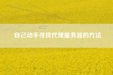 自己动手寻找代理服务器的方法