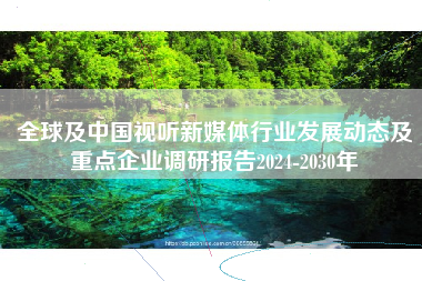 全球及中国视听新媒体行业发展动态及重点企业调研报告2024-2030年