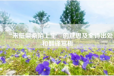 “未抵柴桑陌上尘”的意思及全诗出处和翻译赏析