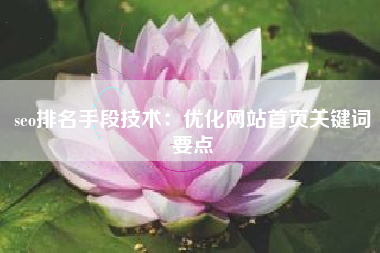 seo排名手段技术：优化网站首页关键词要点