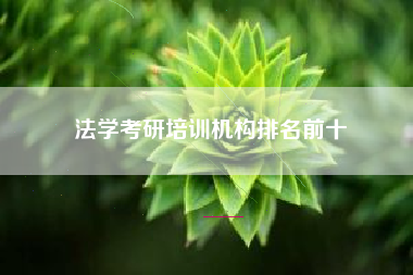 法学考研培训机构排名前十