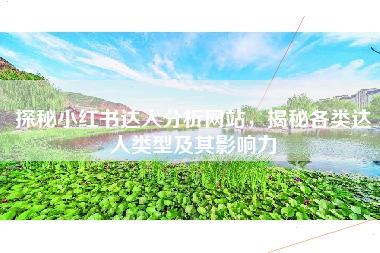 探秘小红书达人分析网站，揭秘各类达人类型及其影响力