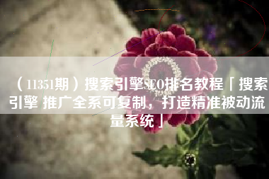 （11351期）搜索引擎SEO排名教程「搜索引擎 推广全系可复制，打造精准被动流量系统」