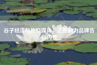 谷子经济与社交媒体，正在助力品牌告别内卷