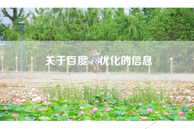 关于百度seo优化的信息