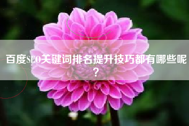 百度SEO关键词排名提升技巧都有哪些呢？