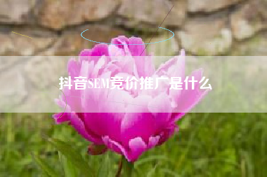 抖音SEM竞价推广是什么
