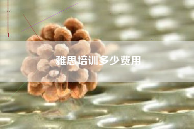 雅思培训多少费用