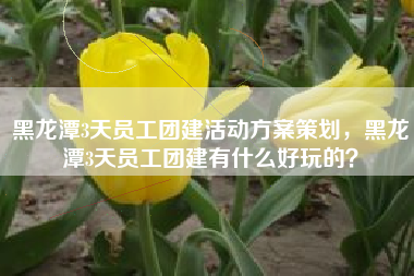 黑龙潭3天员工团建活动方案策划，黑龙潭3天员工团建有什么好玩的？