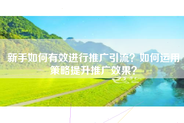新手如何有效进行推广引流？如何运用策略提升推广效果？