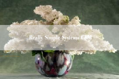 Really Simple Systems CRM