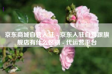 京东商城自营入驻 - 京东入驻自营跟旗舰店有什么区别 - 代运营平台