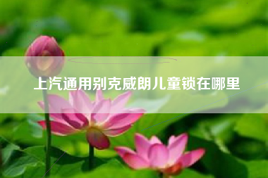 上汽通用别克威朗儿童锁在哪里