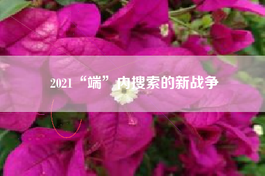 2021“端”内搜索的新战争