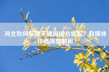 河北如何实现关键词排名靠前？自媒体作者深度解析