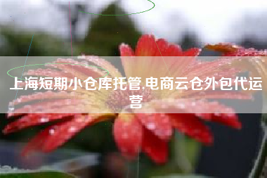 上海短期小仓库托管,电商云仓外包代运营