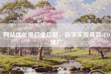 网站优化推广全攻略，自学实现高效SEO推广