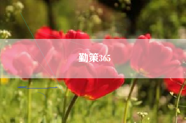 勤策365