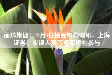丽珠集团：12月4日接受机构调研，上海证券、农银人寿等多家机构参与