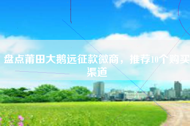 盘点莆田大鹅远征款微商，推荐10个购买渠道