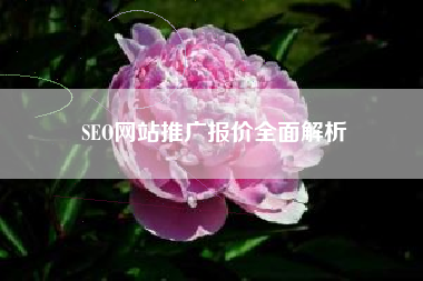 SEO网站推广报价全面解析