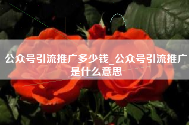 公众号引流推广多少钱_公众号引流推广是什么意思