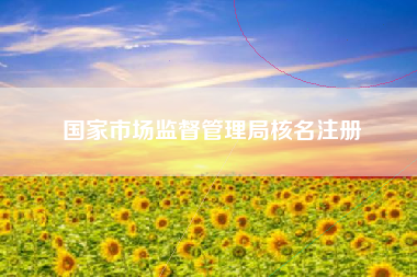 国家市场监督管理局核名注册 国家市场监督管理局核名注册