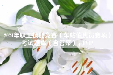 2024年职工技能竞赛（车站值班员赛项）考试题库（含答案）.pdfVIP