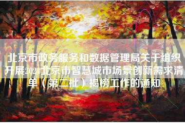 北京市政务服务和数据管理局关于组织开展2024北京市智慧城市场景创新需求清单（第二批）揭榜工作的通知