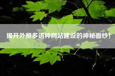 揭开外贸多语种网站建设的神秘面纱！
