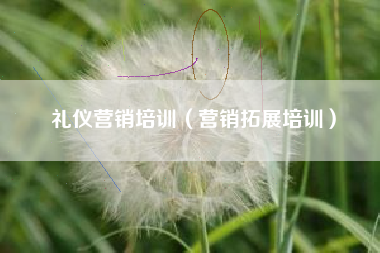 礼仪营销培训（营销拓展培训）