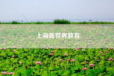 上海新世界教育 上海新世界教育