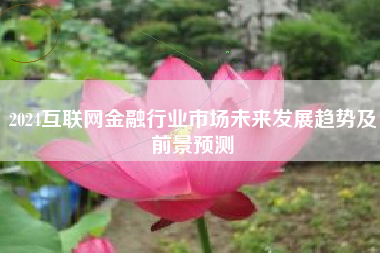 2024互联网金融行业市场未来发展趋势及前景预测