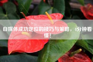 自媒体成功定位的技巧与策略，4分钟看懂！