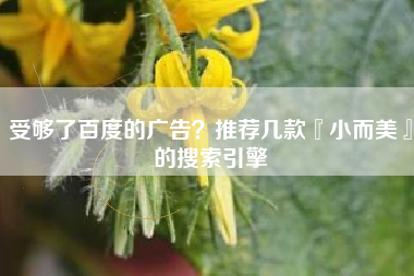 受够了百度的广告？推荐几款『小而美』的搜索引擎