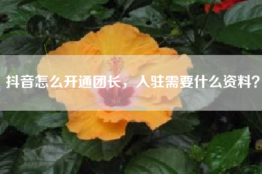 抖音怎么开通团长，入驻需要什么资料？