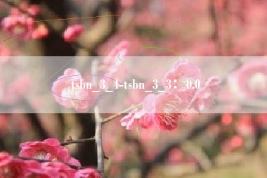 tsbn_3_4-tsbn_3_3:0.0 tsbn_3_4-tsbn_3_3:0.0