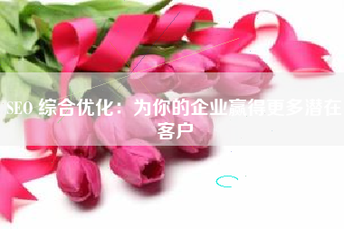 SEO 综合优化：为你的企业赢得更多潜在客户