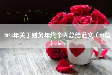 2024年关于财务年终个人总结范文（24篇）.docx