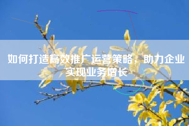如何打造高效推广运营策略，助力企业实现业务增长