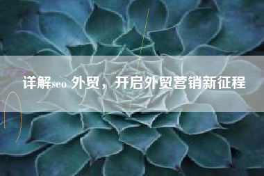 详解seo 外贸，开启外贸营销新征程