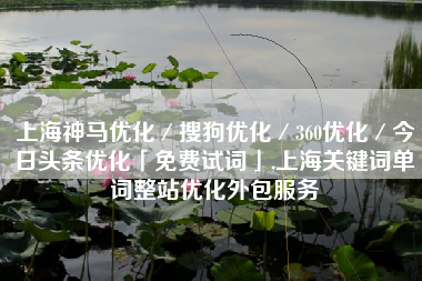 上海神马优化／搜狗优化／360优化／今日头条优化「免费试词」,上海关键词单词整站优化外包服务