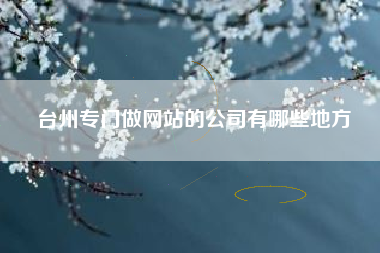 台州专门做网站的公司有哪些地方
