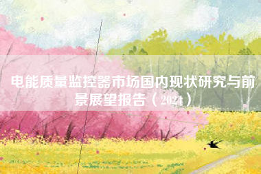 电能质量监控器市场国内现状研究与前景展望报告（2024）