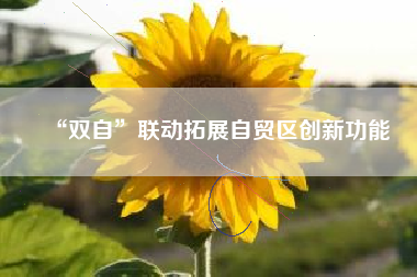 “双自”联动拓展自贸区创新功能